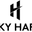 Luxury Automatic Watches logo